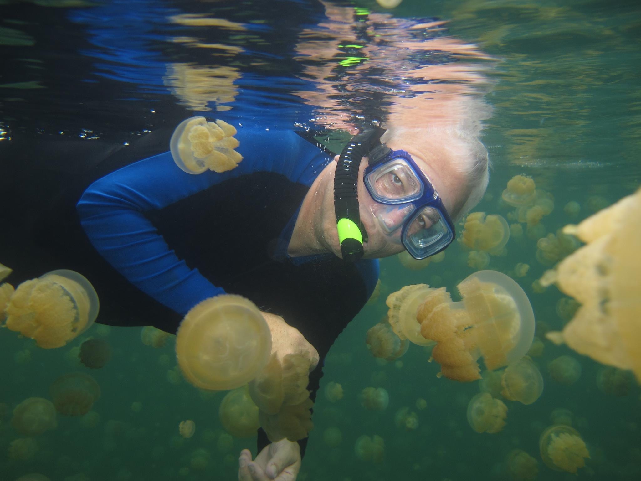 Frank scuba diving with jelly fish