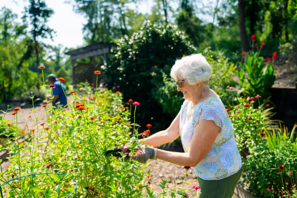 Senior watering garden
