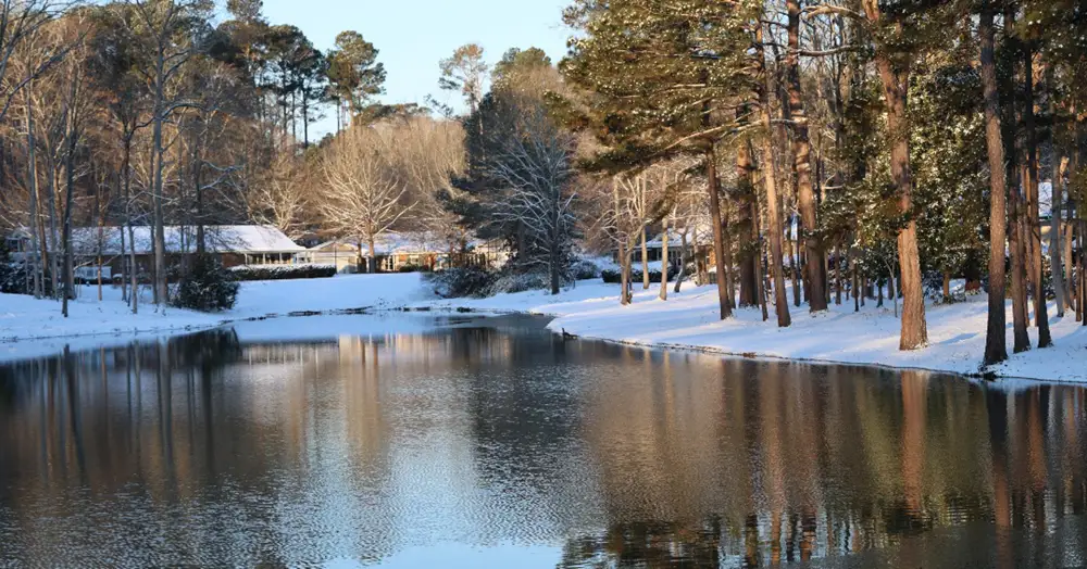 The Winter Weather Was No Problem for Brandon Wilde Residents