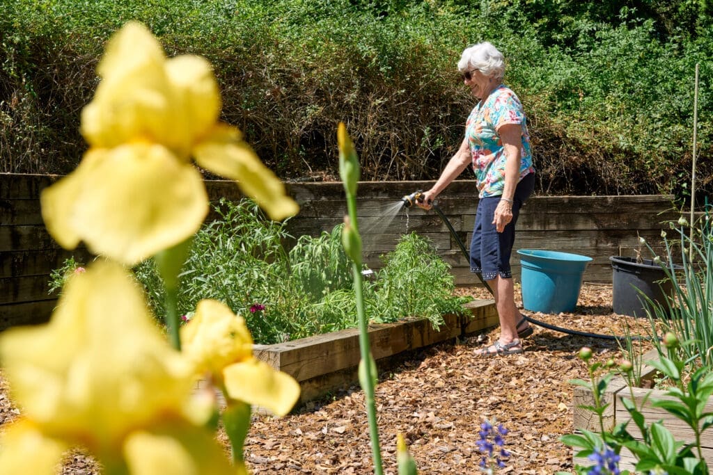 senior woman watering plants in a garden