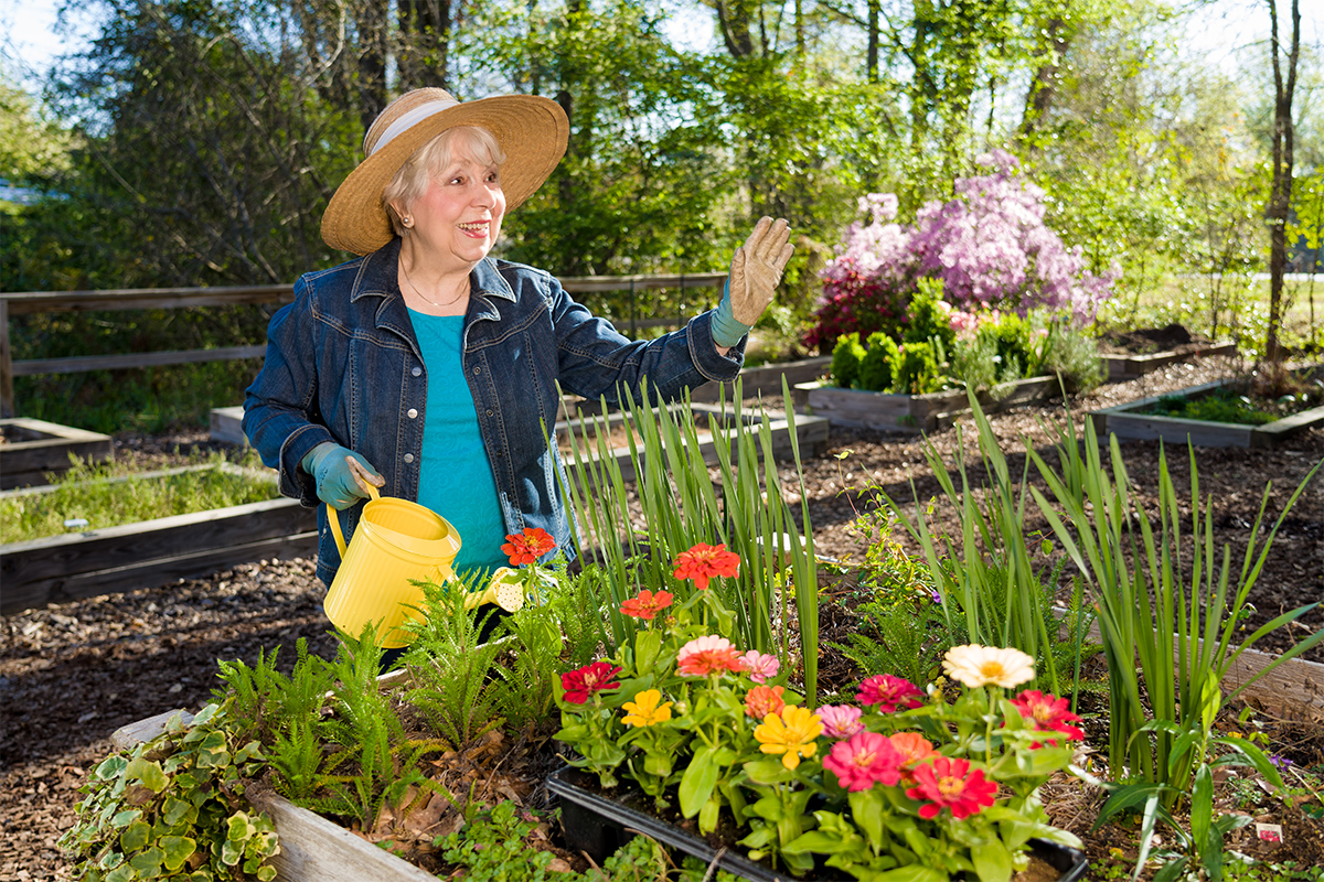 Senior gardening