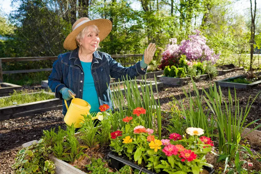 A senior woman gardening outside while thinking of questions to ask when choosing a retirement community in Evans, GA, like Brandon Wilde.