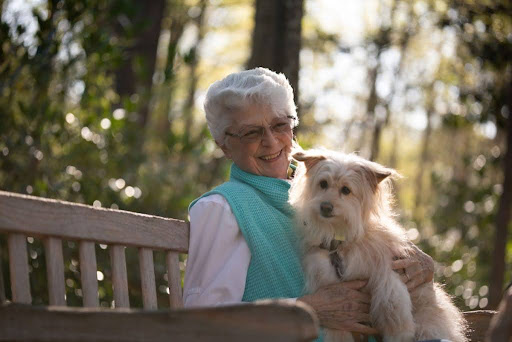 senior lady with dog on park bench